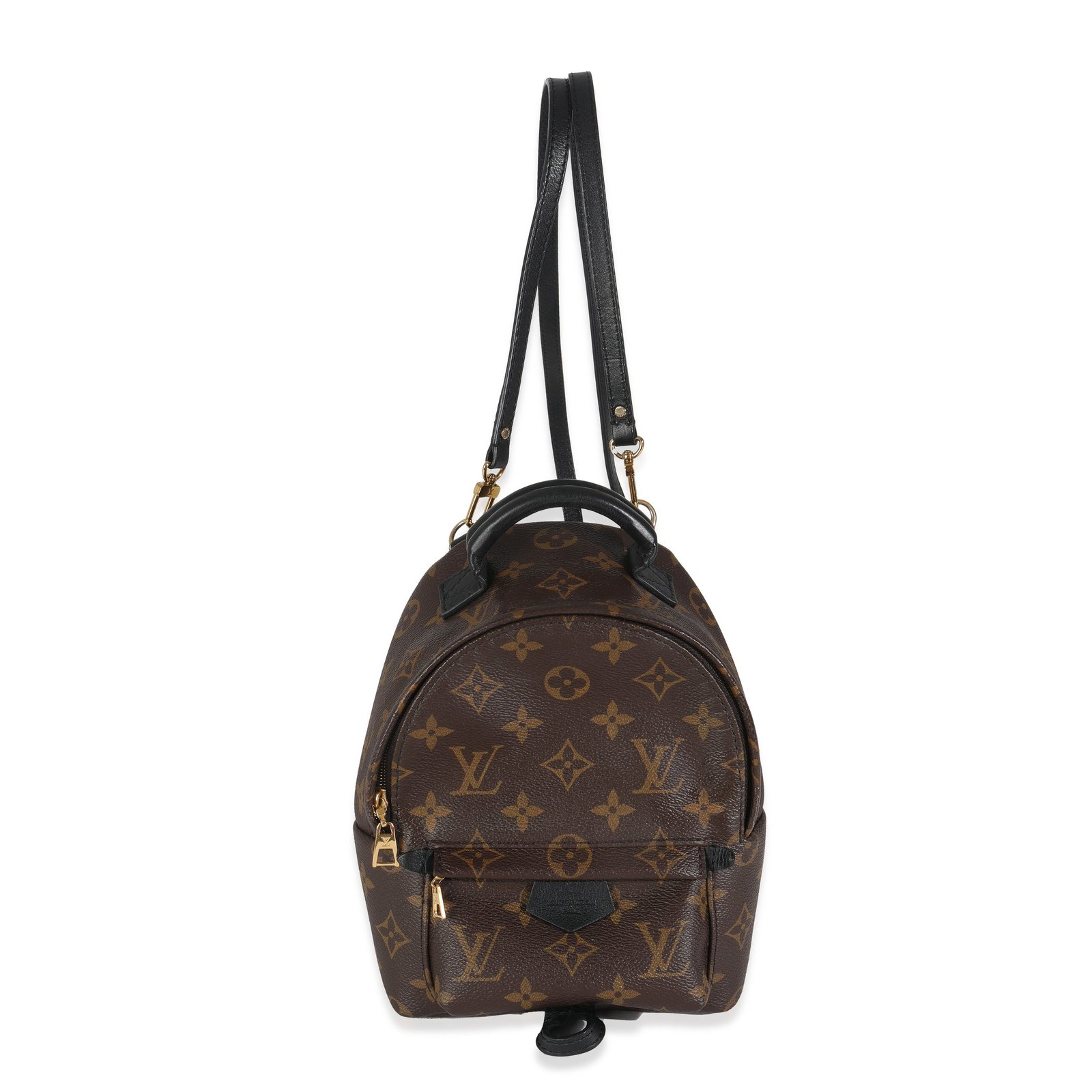 Monogram Canvas Mini Palm Springs